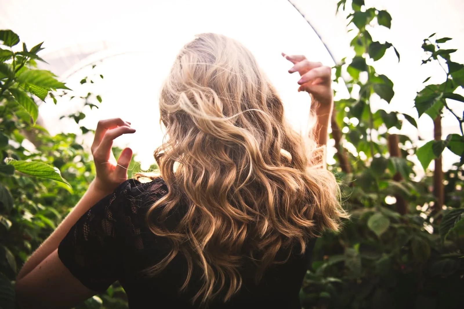 Back view of long, sunlit blonde waves outdoors